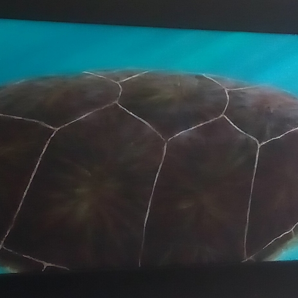 Honu Sea Turtle Original oil Painting by Hawaiian artist - Picture 3 of 5